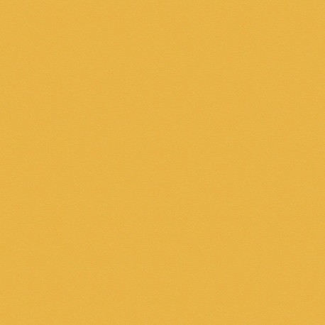 Żółty 2.80x2.07